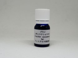 画像2: プライ（ボンツクショウガ)5ml・精油