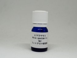 画像2: ヒマラヤモミ（ネパール）5ml・精油