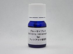 画像1: ブルーサイプレス5ml・精油