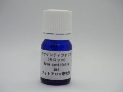 画像1: ロサケンティフォリア(モロッコ）2ml・精油