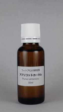 画像1: アプリコットカーネルオイル（ネパール）30ml