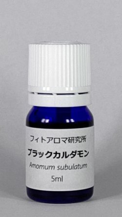 画像1: ブラックカルダモン（ネパール）5ml・精油