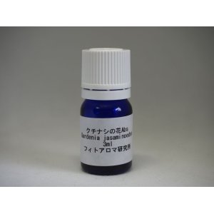 画像: クチナシの花Abs3ml