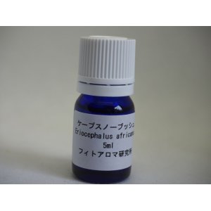 画像: ケープスノーブッシュ5ml・精油