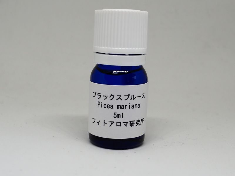 画像2: ブラックスプルース5ml・精油