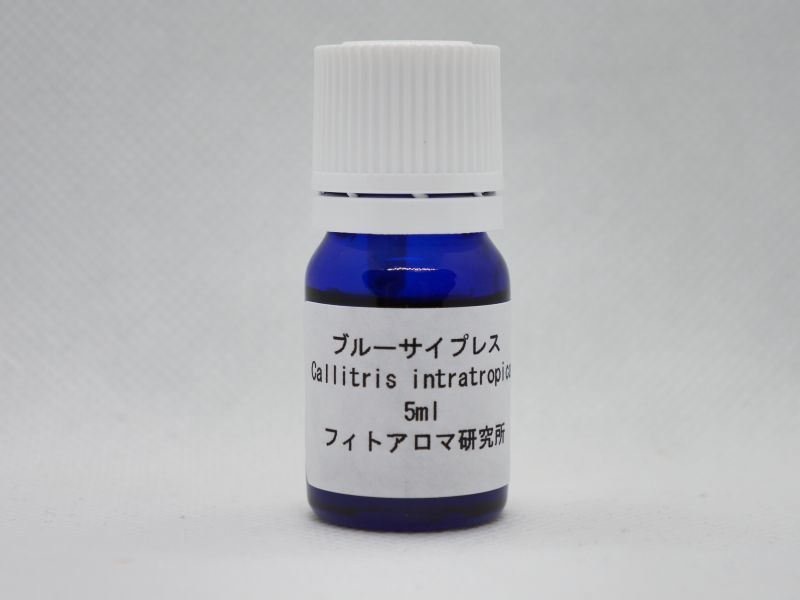 画像1: ブルーサイプレス5ml・精油